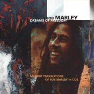 Dreams of freedom: ambient translations of bob marley in dub