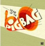 Year of the pigbag
