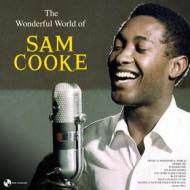 The wonderful world of sam cooke (Vinile)