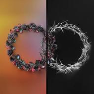 Dual (Vinile)