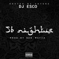 56 nights (Vinile)