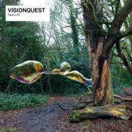 Fabric 61-visionquest