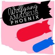 Wolfgang amadeus phoenix