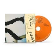 Lodger