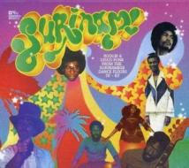 Surinam-boogie & disco funk 70-83