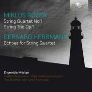 Music for string quartet