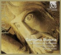 Carmina burana - le mystere de la passion