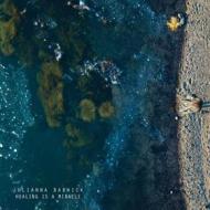 Healing is a miracle julianna barwick lp (Vinile)