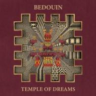 Temple of dreams (Vinile)