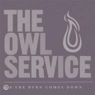 Owl service, the-the burn comes dow