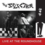 Selecter live at the roundhouse