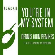 You're in my system (Vinile)
