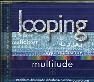 Looping - multitude