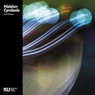 Hidden cymbals (Vinile)