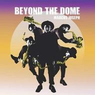 Beyond the dome (Vinile)