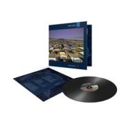 A momentary lapse of reason (Vinile)