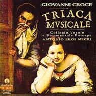 Triaca musicale (1595)