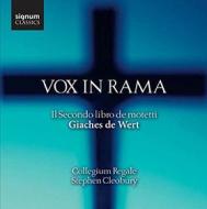 Vox in rama