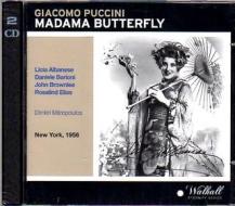 Madama butterfly