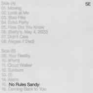 No rules sandy (Vinile)