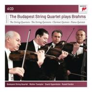 The budapest strinq quartet play brahms