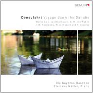 Donaufahrt: voyage down the danube (musi