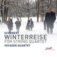 Winterreise (per quartetto d'archi)