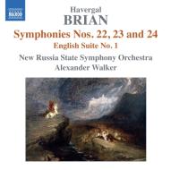 Sinfonia n.22 ''sinfonia brevis'', sinfoni