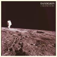 Dandelion - dandelion yellow edition (Vinile)