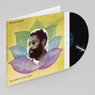 The jewel in the lotus -luminessence series (Vinile)