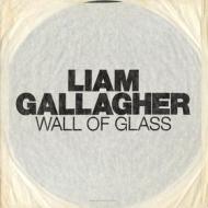 Wall of glass (Vinile)