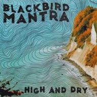 High and dry - coloured edition (Vinile)