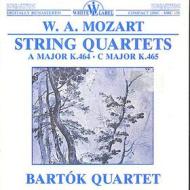 Quartetto per archi n.18 k 464 (1785) in