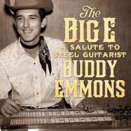 The big e:salute to steel guitarist