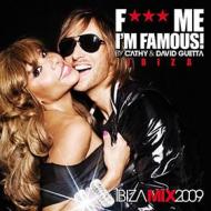 F*** me i'm famous: ibiza mix 09