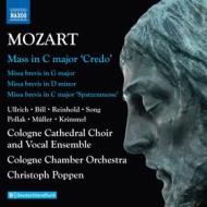 Complete masses, vol. 6