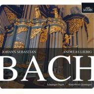 Bach: orgelwerke