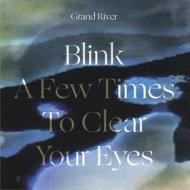 Blink a few times to clear your eyes gra (Vinile)