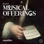 Bach s musical offerings