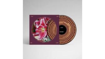 Coles corner (Vinile)