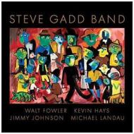 Steve gadd band