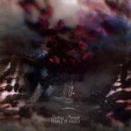 Endless pursuit (Vinile)