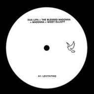 Levitating the blessed madonna remix fea (Vinile)