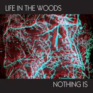 Nothing is (7'' limited edt.) (Vinile)