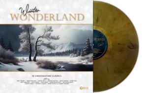 Winter wonderland (vinyl gold marble) (Vinile)