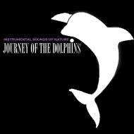 Journey of the dolphins