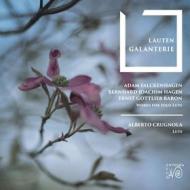 Lauten galanterie - works for solo lute