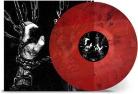 Within the viscera (Vinile)