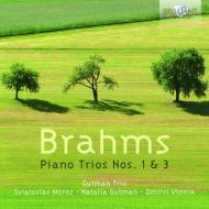 Trii per archi e pianoforte op.8 e 101