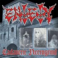 Cadaveric necrogrind (Vinile)